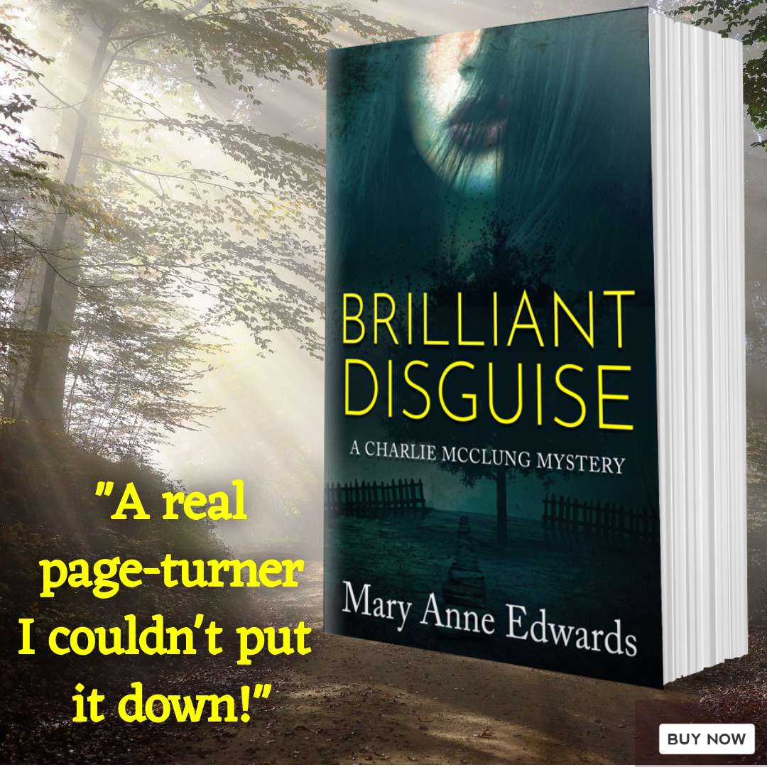 BrilliantDisguise Mary Anne Edwards